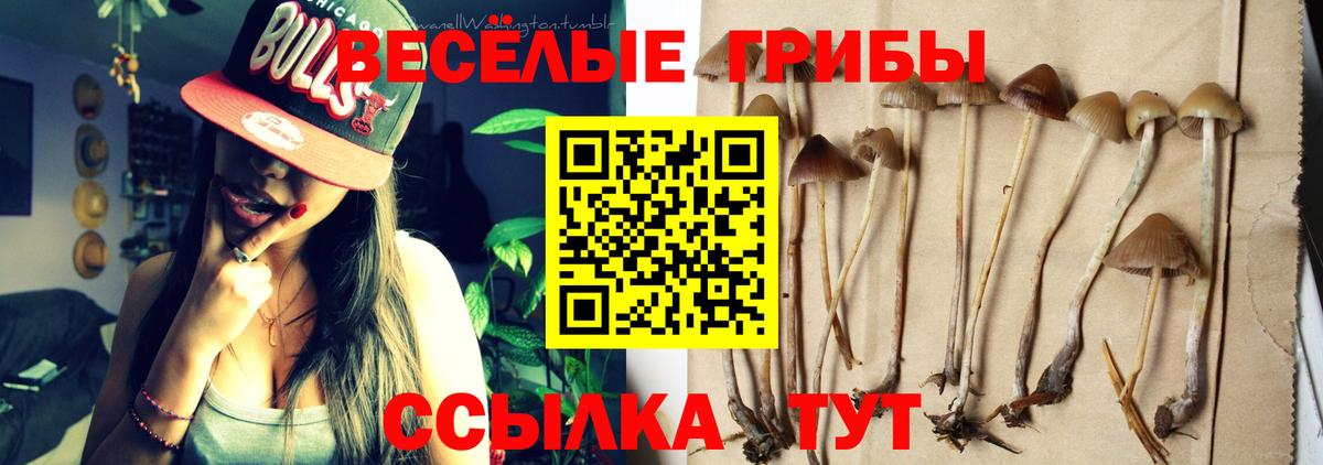 Галлюциногенные грибы прущие грибы Павловский Посад