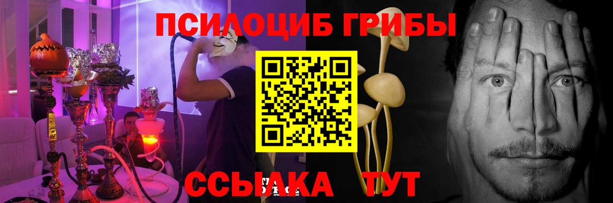 Павловский Посад  Галлюциногенные грибы Cubensis  Вход с VPN  Псилоцибиновые грибы Magic Shrooms 